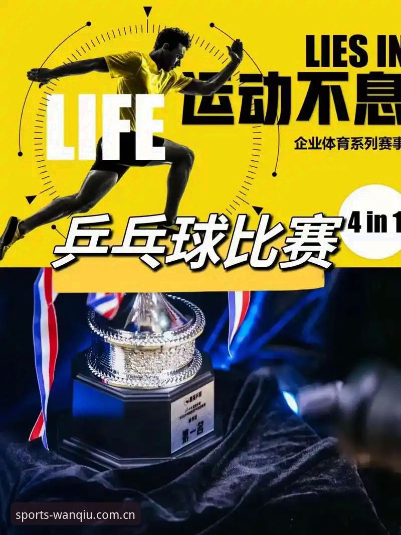 玩球体育安卓版高效使用指南：从下载到畅享赛事直播完整攻略